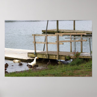 Ducks by the Dock Poster