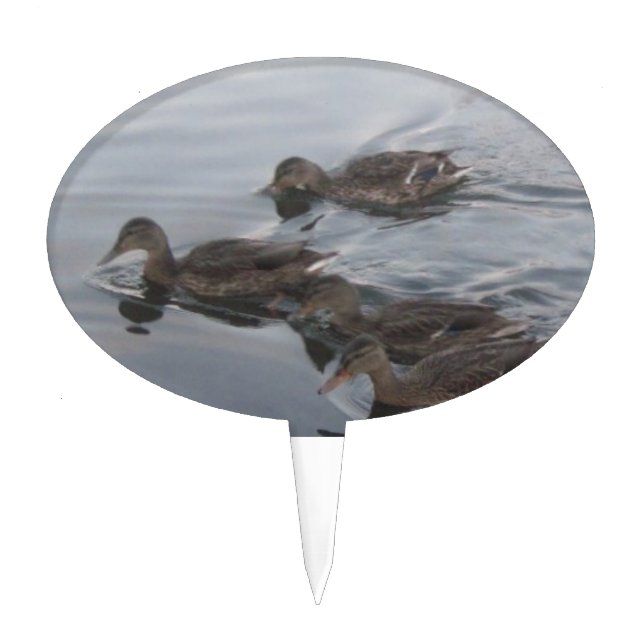 Ducks Cake Topper (Front)