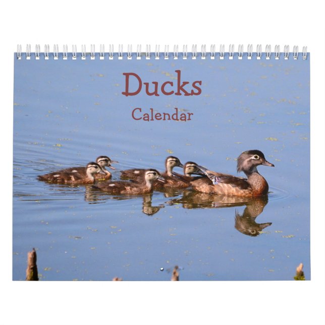 Ducks Calendar (Cover)