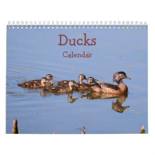 Ducks Calendar