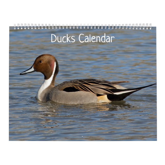 Ducks Calendar (Cover)