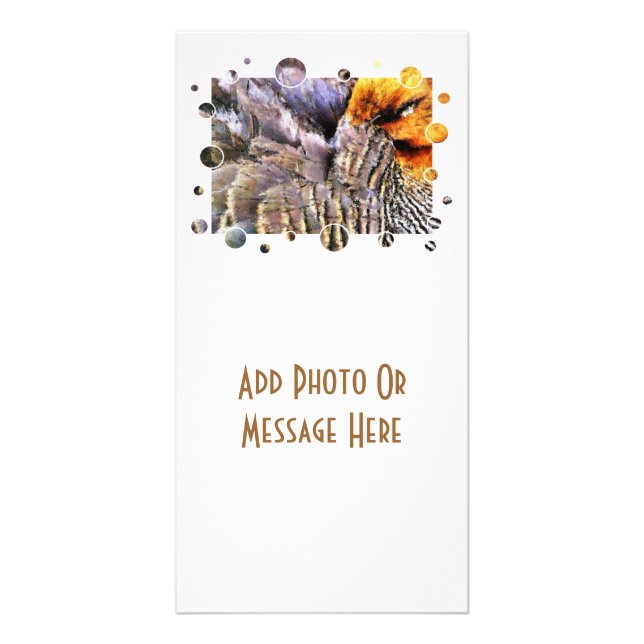 DUCKS CARD (Front)