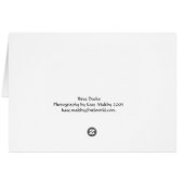 ducks cards (Back Horizontal)