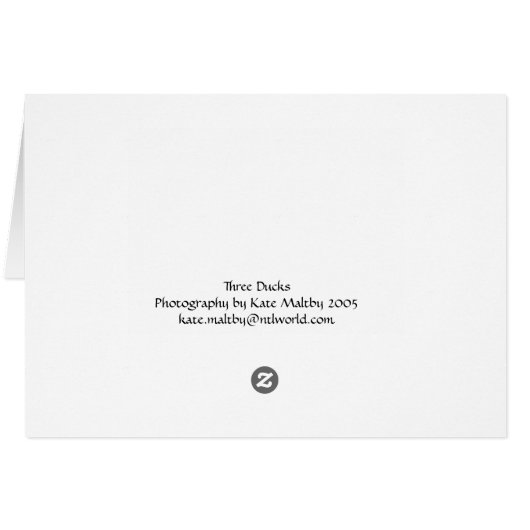 ducks cards (Back Horizontal)
