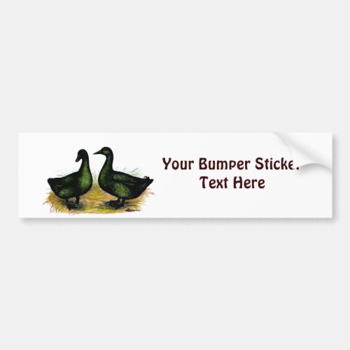 Ducks  Cayuga Pair Bumper Sticker