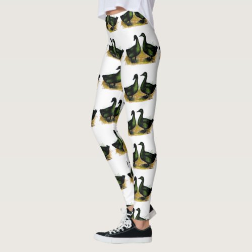 Ducks  Cayuga Pair Leggings