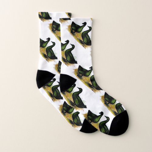 Ducks  Cayuga Pair Socks