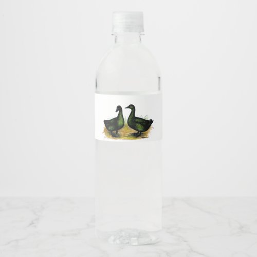 Ducks  Cayuga Pair Water Bottle Label