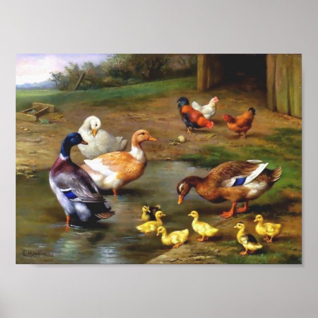Ducks Chicken Animals Birds Painting Poster (Front)