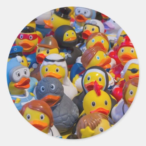 Ducks Classic Round Sticker