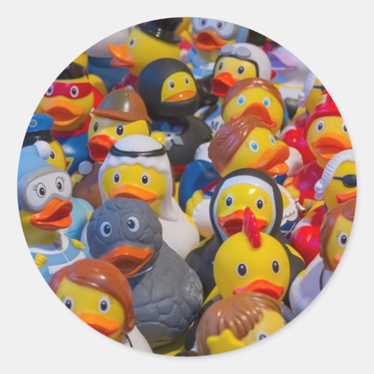 Ducks Classic Round Sticker | Zazzle