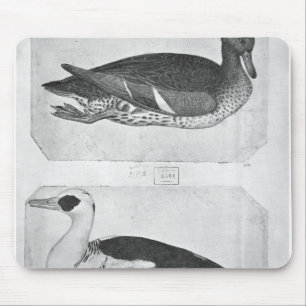 Ducks, from the The Vallardi Album Mouse Pad