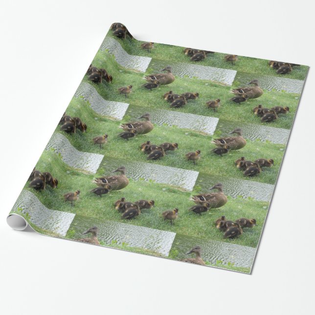 Ducks  gift wrapping paper (Unrolled)