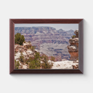 Duck's Grand View Award Plaque