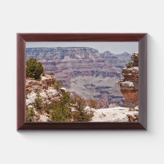 Duck's Grand View Award Plaque (Horizontal)