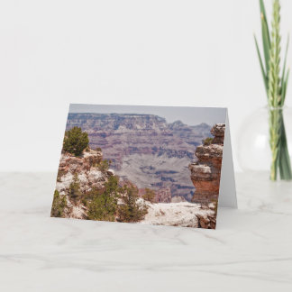 Duck's Grand View Card