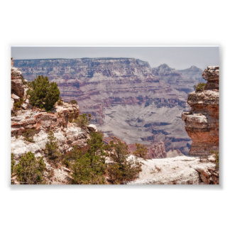 Duck's Grand View Photo Print