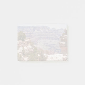 Duck's Grand View Post-it Notes