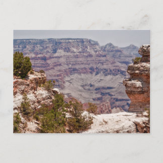 Duck's Grand View Postcard