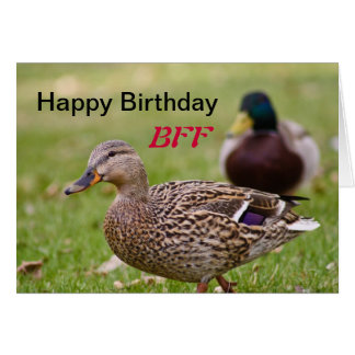 Happy Birthday Duck Cards - Greeting & Photo Cards | Zazzle