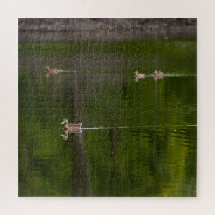Ducks in a Green Lake Jigsaw Puzzle