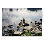 ducks in a river (Front Horizontal)