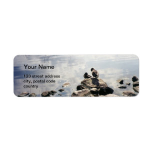 ducks in a river. ducks resting on rocks in summer label