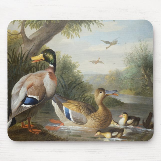 Ducks in a River Landscape Mouse Pad (Front)