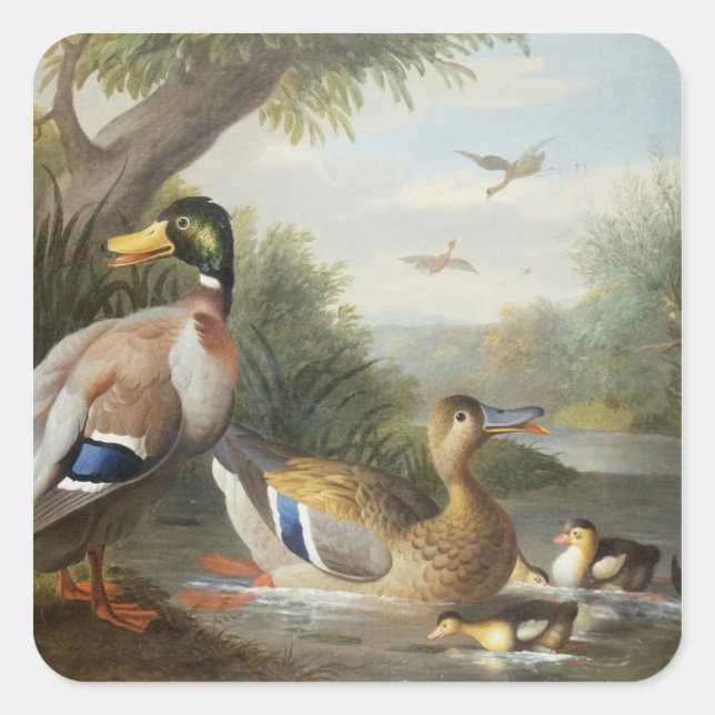 Ducks in a River Landscape Square Sticker (Front)