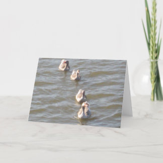 Ducks in a Row Card