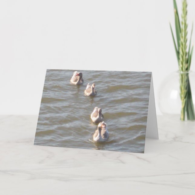 Ducks in a Row Card (Front)
