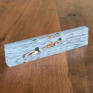 DUCKS IN A ROW GLIDING ACROSS POND/PERSONALIZE IT