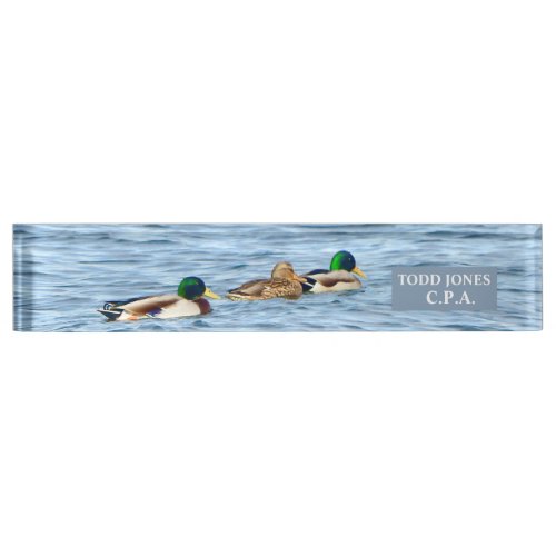 DUCKS IN A ROW GLIDING ACROSS PONDPERSONALIZE IT DESK NAME PLATE