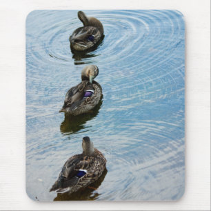 Ducks in a Row Mouse Pad