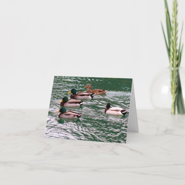 Ducks in a Row note card (blank) (Front)