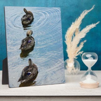Ducks in a Row Plaque