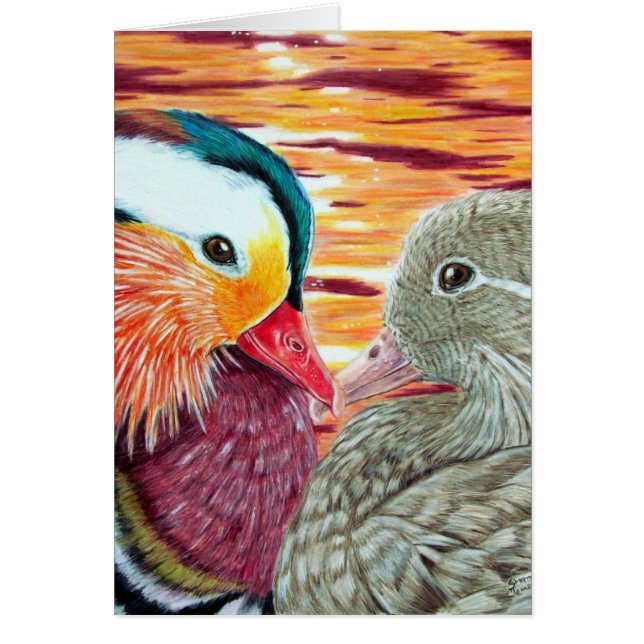 Ducks in Love Cards (Front)
