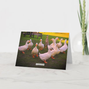 Ducks in the Park Funny Duck Quanks Letterpress Thank You Card