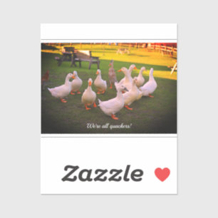 Ducks in the Park Funny We're all Quackers Sticker