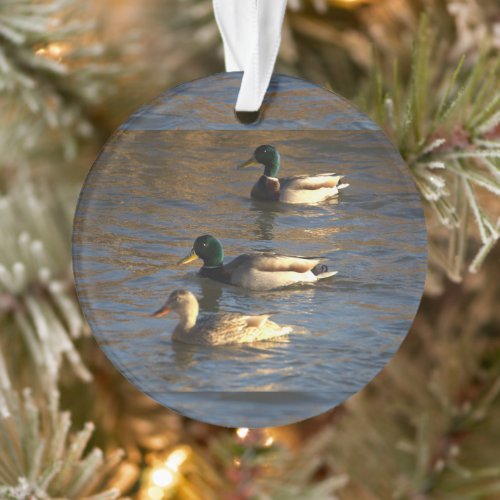 Ducks in Water Ornament