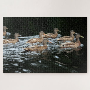 Ducks Jigsaw Puzzle