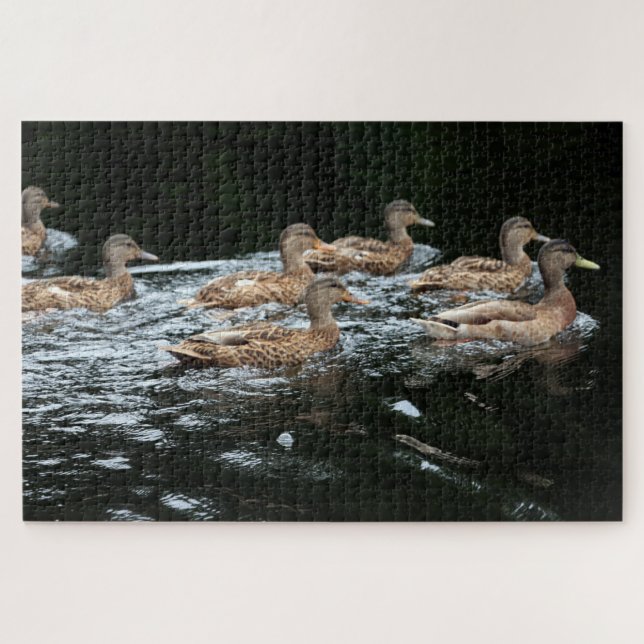 Ducks Jigsaw Puzzle (Horizontal)