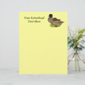 Ducks: Khaki Calls (Standing Front)
