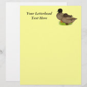 Ducks: Khaki Calls (Front/Back)