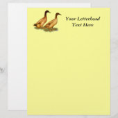 Ducks: Khaki Campbell (Front/Back)