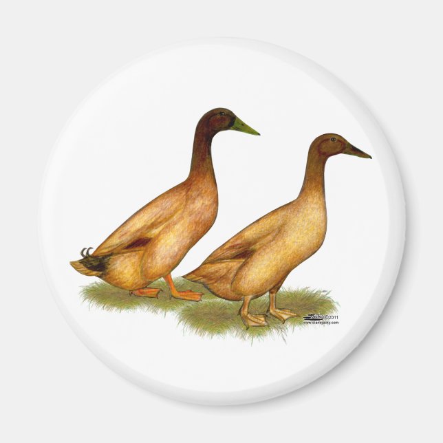 Ducks:  Khaki Campbell Magnet (Front)