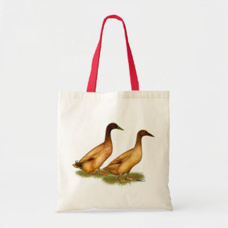 Ducks: Khaki Campbell Tote Bag