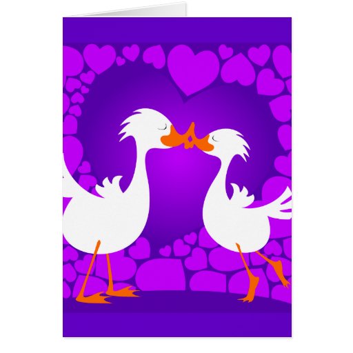 Ducks kissing, greeting card | Zazzle