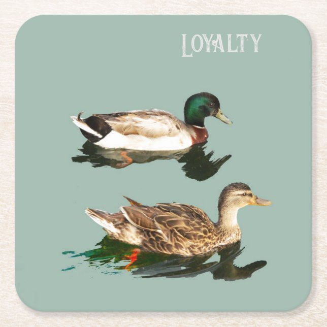 Ducks. Loyalty Square Paper Coaster (Front)