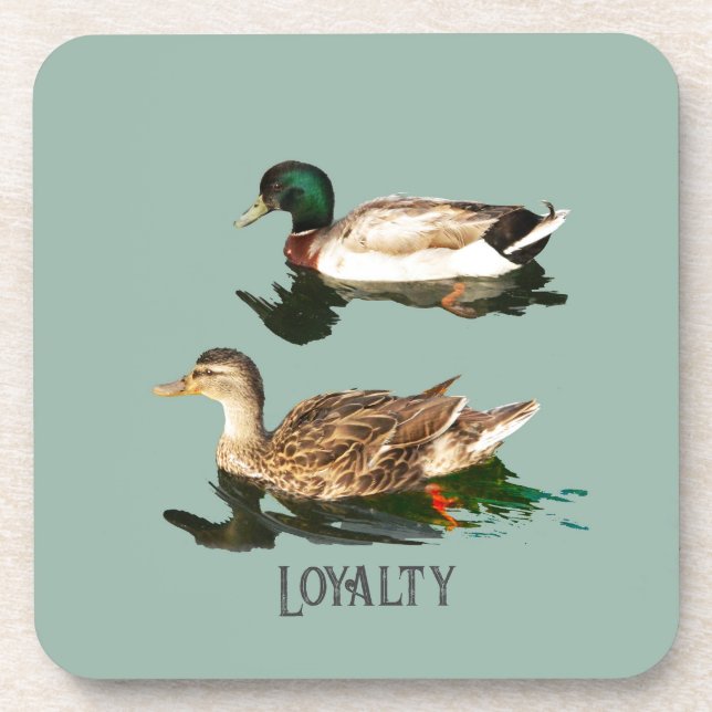 Ducks mallards beverage coaster (Front)